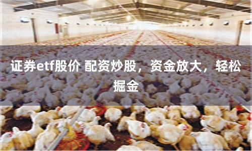 证券etf股价 配资炒股，资金放大，轻松掘金