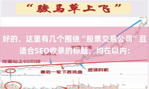 好的，这里有几个围绕“股票交易公司”且适合SEO收录的标题，均在以内：