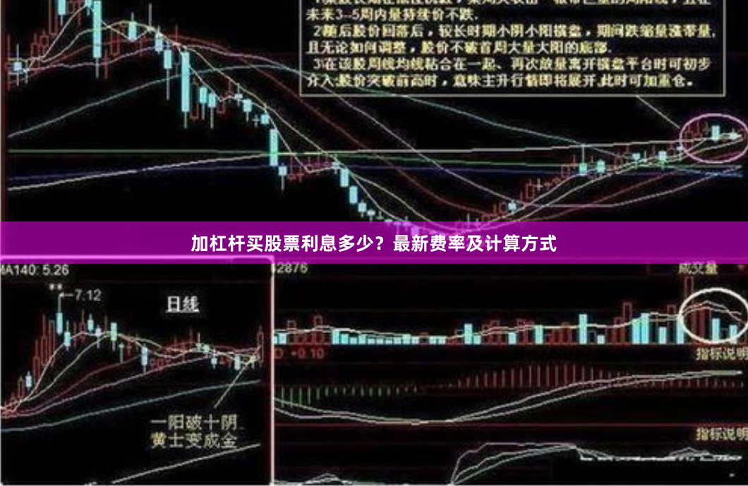 加杠杆买股票利息多少？最新费率及计算方式